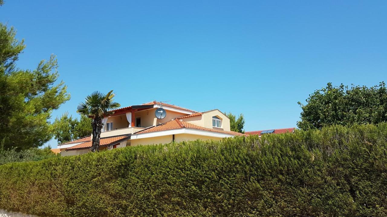 Resort Apartment Petrovic 希贝尼克 外观 照片
